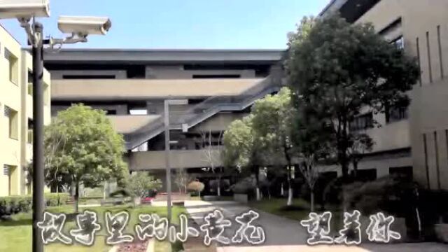 和同学们交交心!复旦五浦汇实验学校校长黄玉峰给同学们写了这封信…