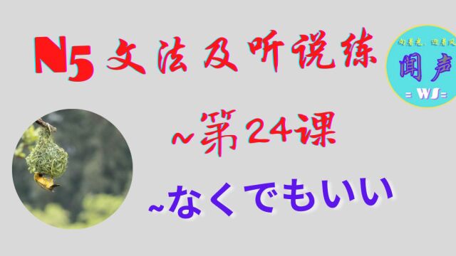 日语学习 | 日语N5文法及听说练 No.24 ~なくてもいい… | 日语口语