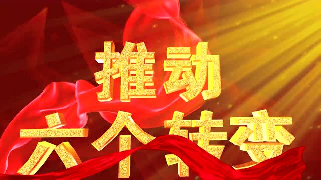 【抓党建促基层治理能力提升】——专访金城镇党委书记 郝建平