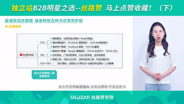 独立站B2B明星之选—丝路赞 马上点赞收藏!