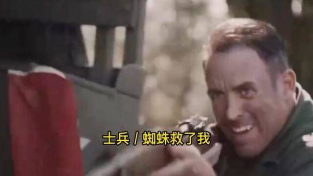 士兵与蜘蛛的故事#善行 #福来者福往