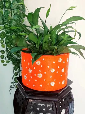 泡沫箱简单改造一下秒变漂亮的花盆美观又实用变废为宝