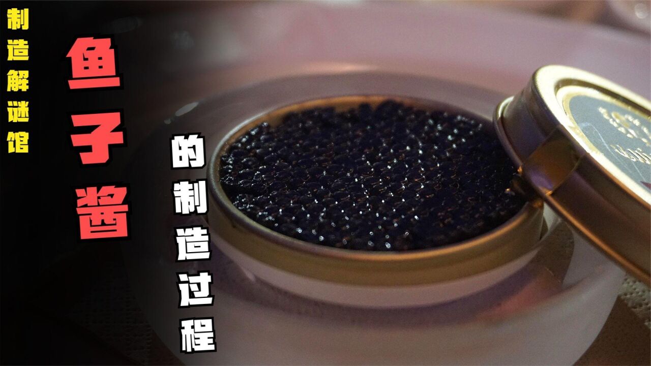 被称为"黑色黄金",16万1公斤的顶级鱼子酱是怎么制造的?