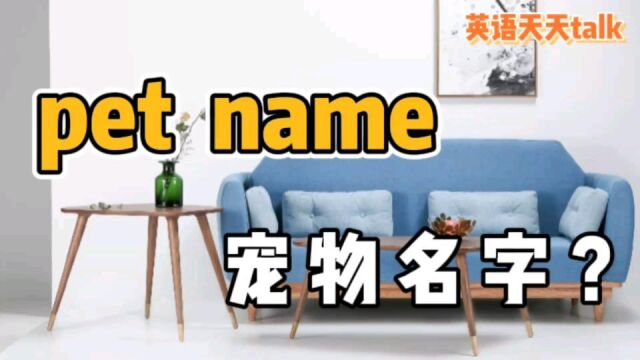 英语“pet name”,竟然不是“宠物的名字”,那是啥意思?