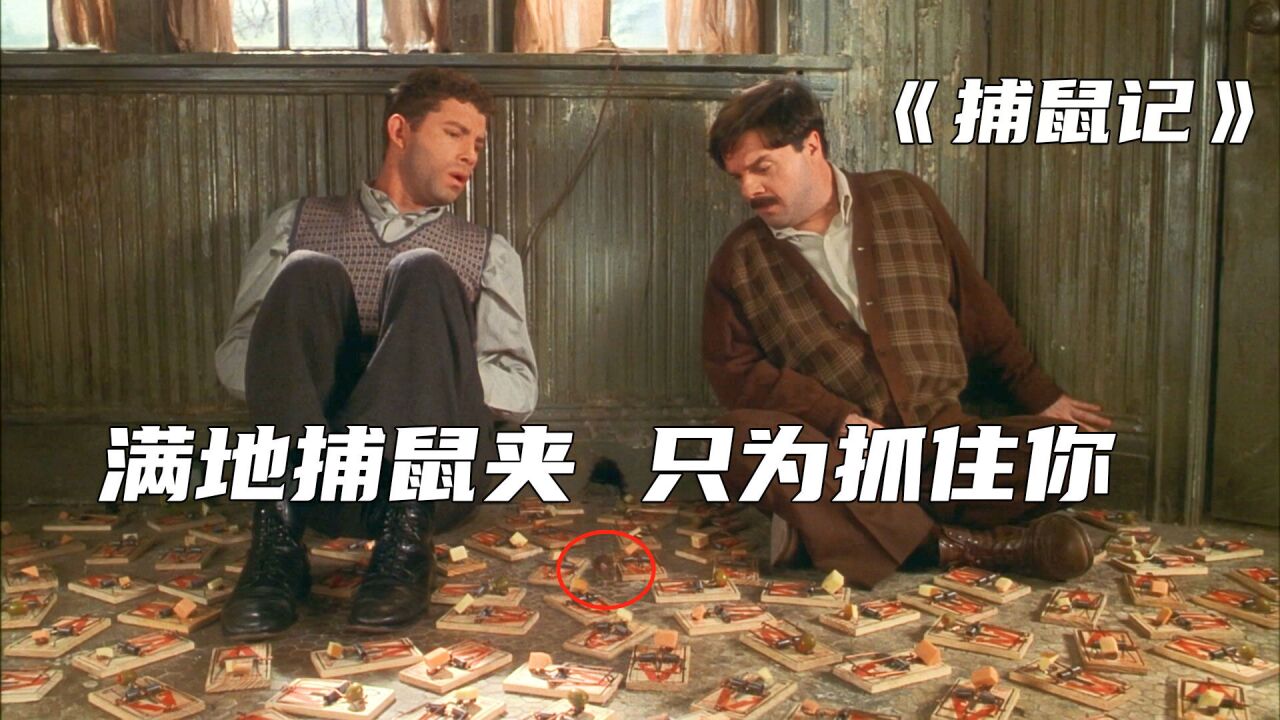 小老鼠与兄弟两人斗智斗勇,教他做人