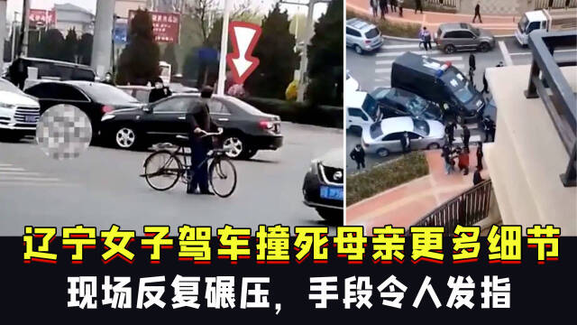 辽宁女子驾车撞死母亲更多细节:现场反复碾压,手段令人发指_腾讯视频