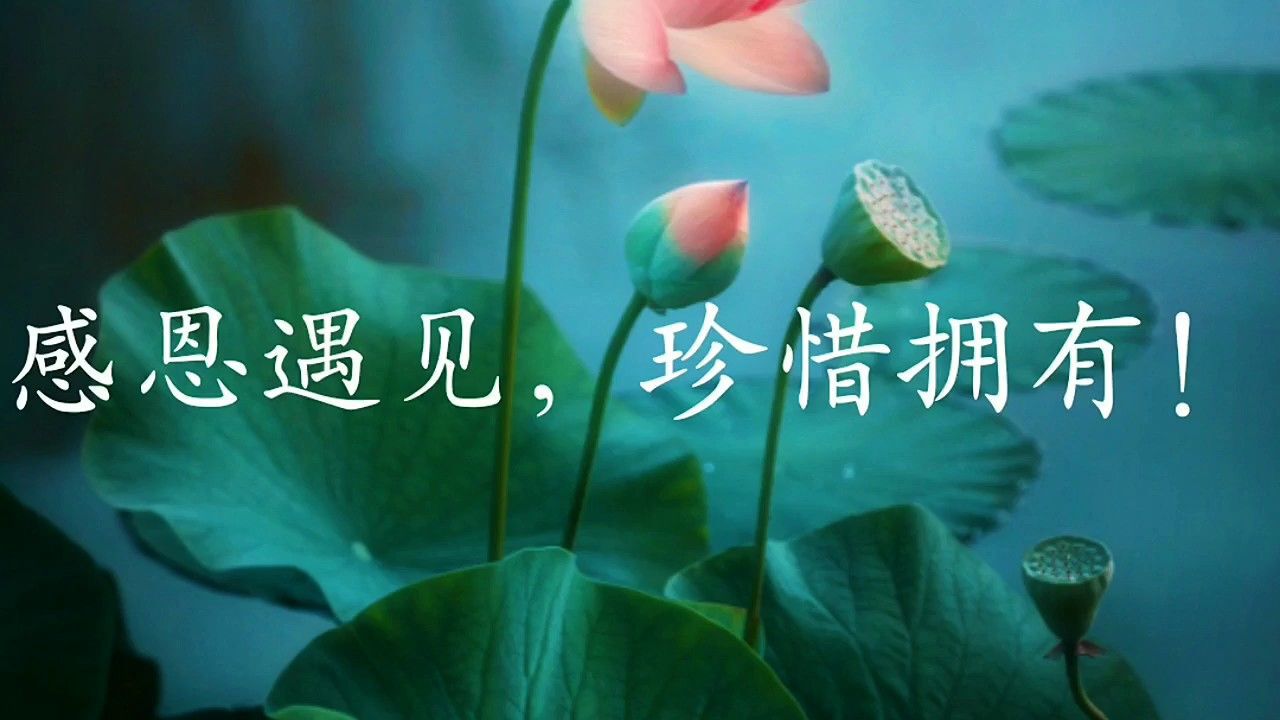 感恩遇见,珍惜现在的拥有!