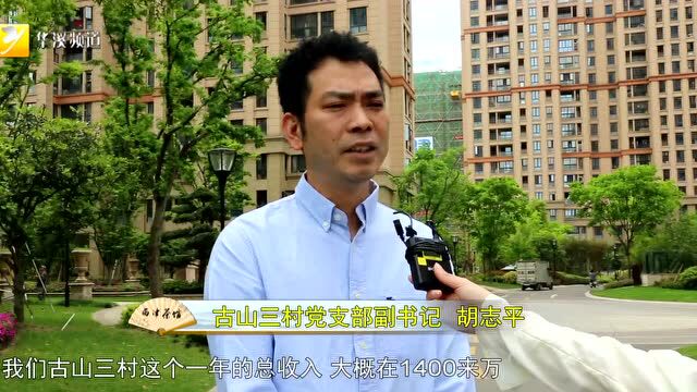 羡慕!永康这个村一年总收入近1400万元,村民住得好了、腰包鼓了……