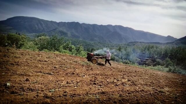 农业老大哥种地虽累也快乐,面朝黄土背朝天生活插曲来相伴