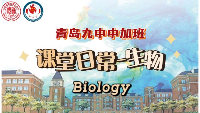 青岛九中中加班课堂日常——生物课 Biology