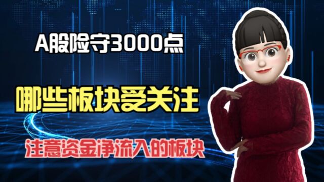 大盘险守3000点位置,哪些板块资金在净流入?市场会如何去选择?