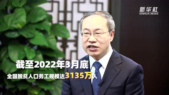 着力稳就业 扎实惠民生——访人社部副部长俞家栋