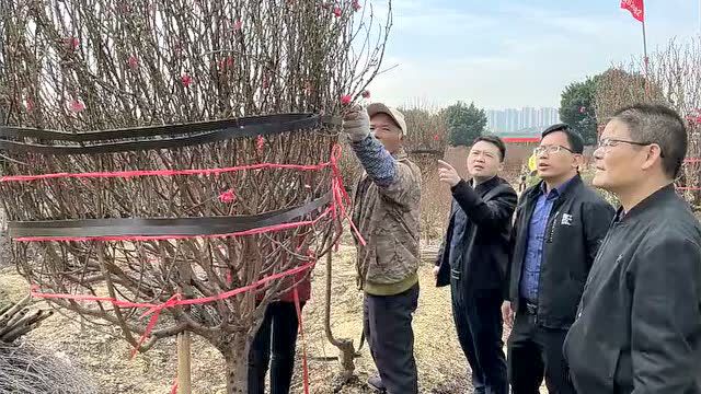 点赞|肇庆驻镇帮镇扶村工作队“晒”成绩,展现乡村振兴成果(第1批)