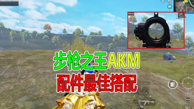 和平精英:步枪之王AKM,武器配件最佳选择