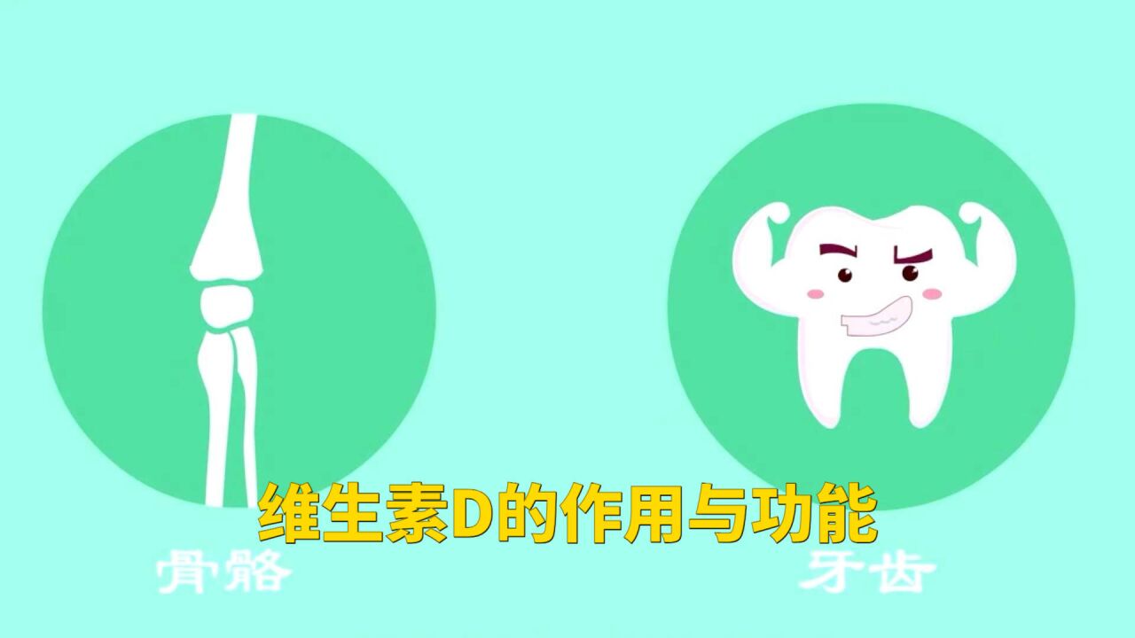 维生素d的作用与功能