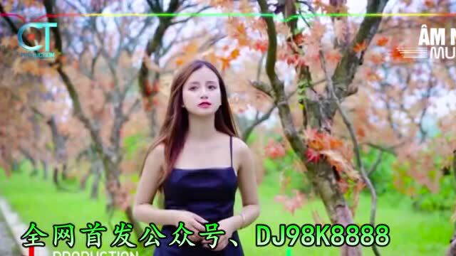 抖音热门中文CLUB音乐DJ慢摇车载串第481张CD专辑