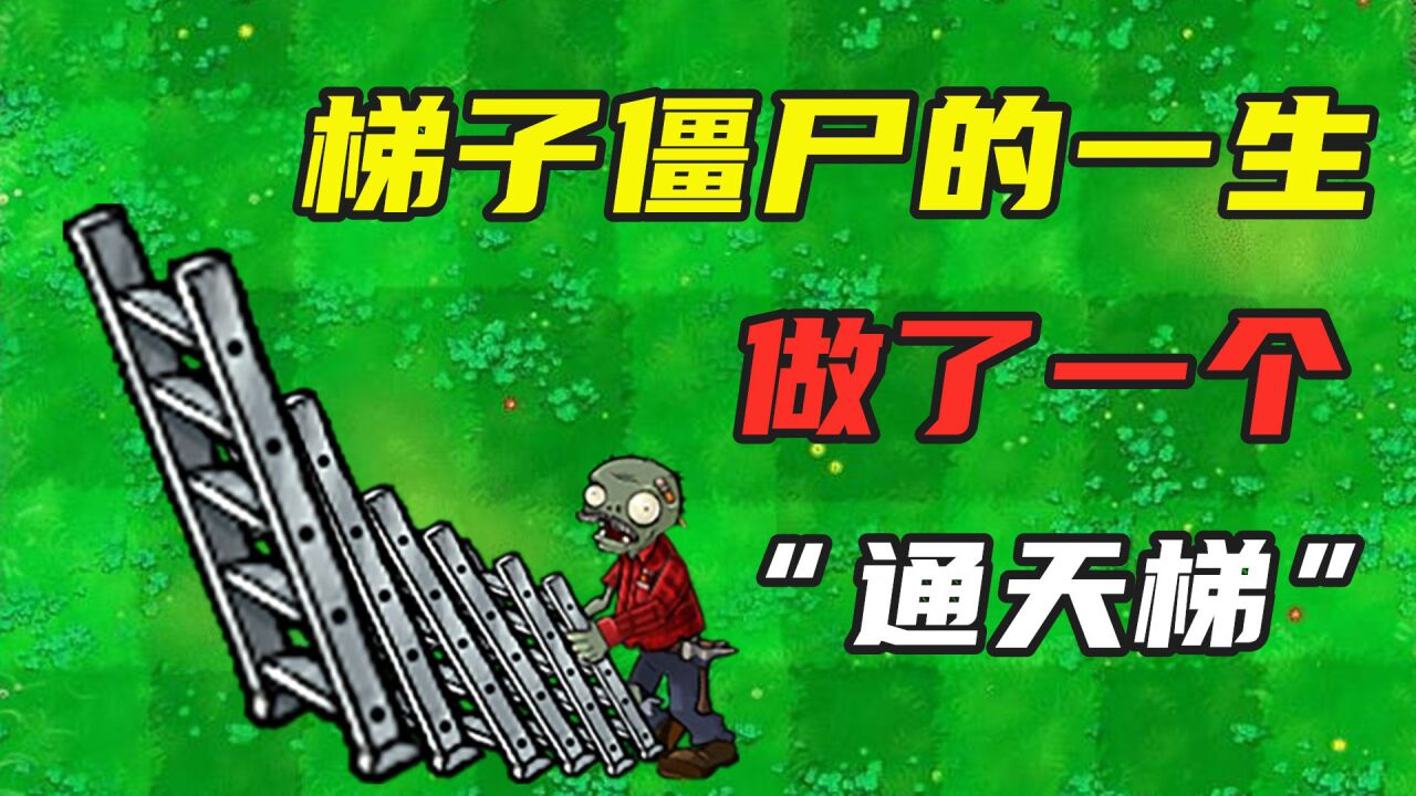 植物大战僵尸:梯子僵尸的一生,做了一个"通天梯"?