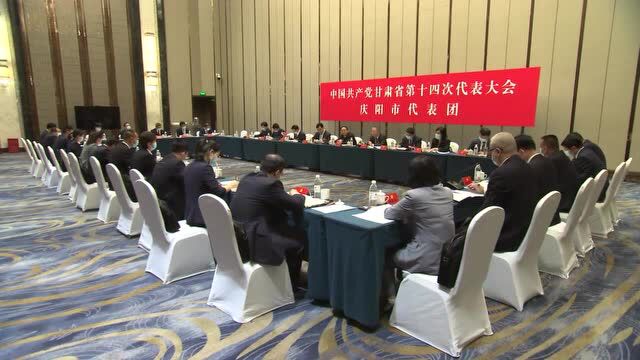 王锐在庆阳市代表团讨论省第十四次党代会报告