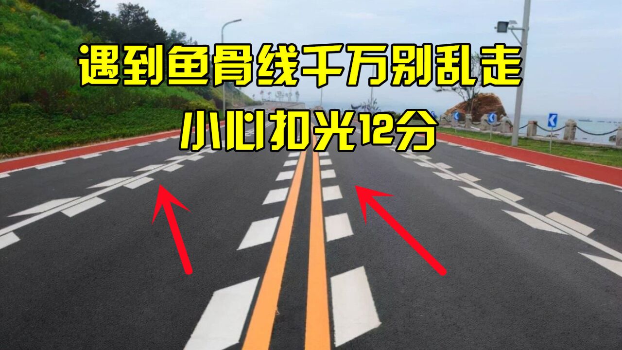 高速魚骨線引怒罵?車主3天被扣12分,老司機:我也經常中招