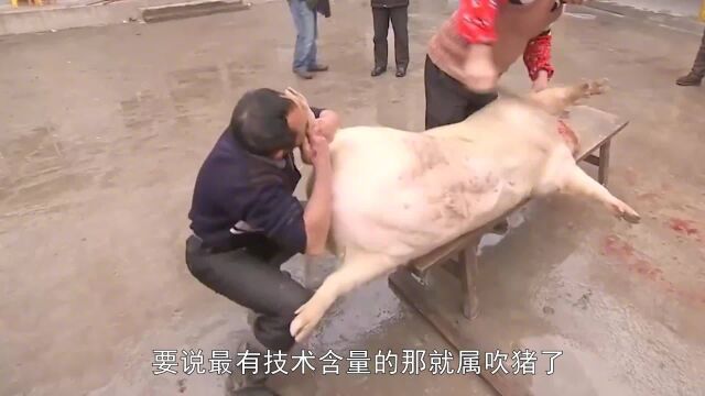 高压枪路过黑猪瞬间变白猪,吹牛见过,吹猪可真是稀奇