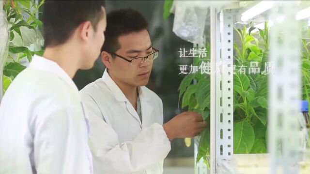 直播预告 | 探索植物王国奥义,洞见智慧农科未来