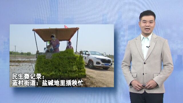 民生微记录:蓝村街道:盐碱地里插秧忙