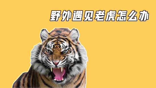 如果野外遇见老虎怎么办?掌握关键一招能保命