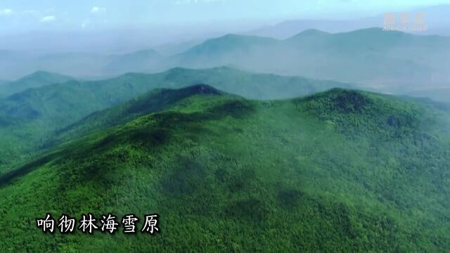 “林区三问”新答卷——“中国林都”伊春绿色转型发展实践