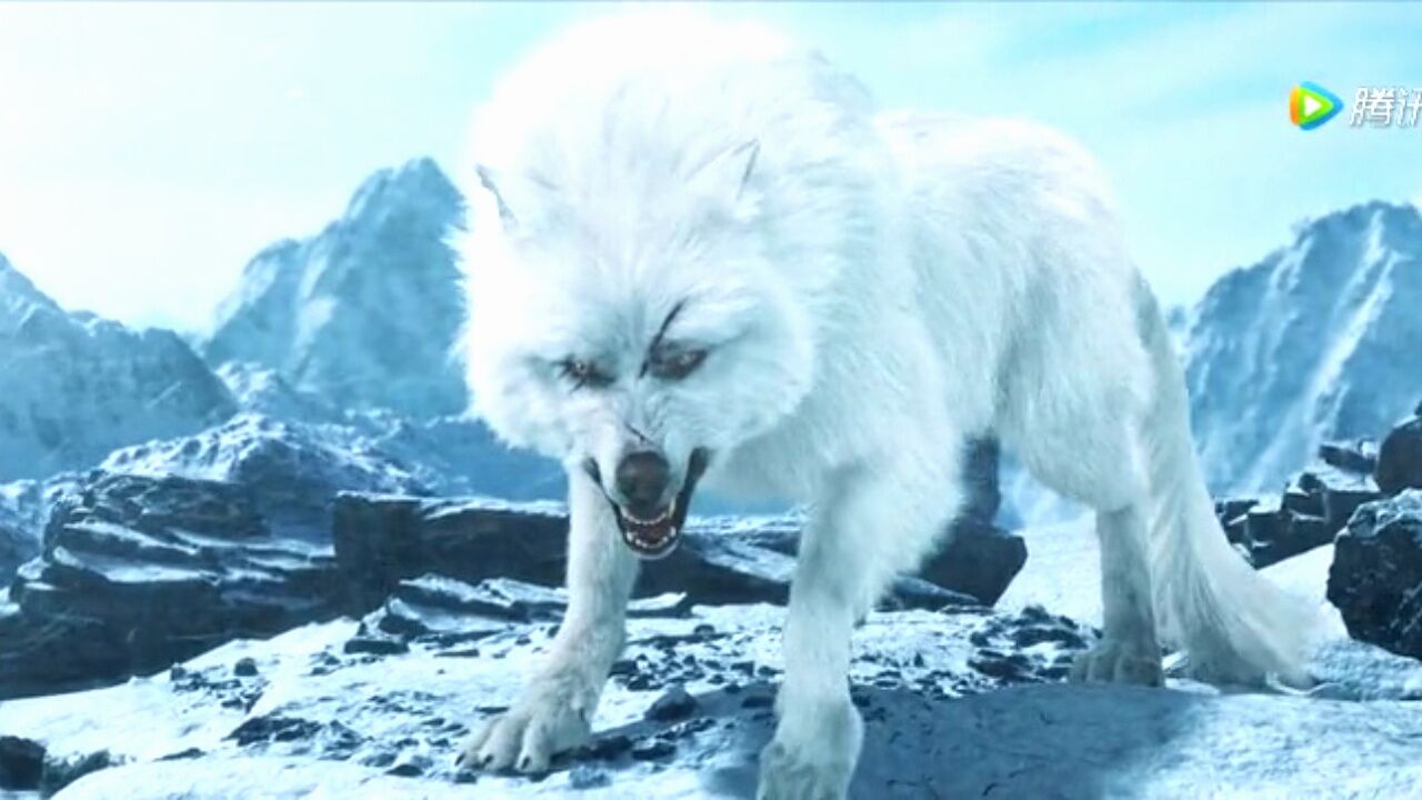 众人雪地中无意打死狼崽子惹怒狼王这一下惨了_高清1080P在线观看平台_腾讯视频