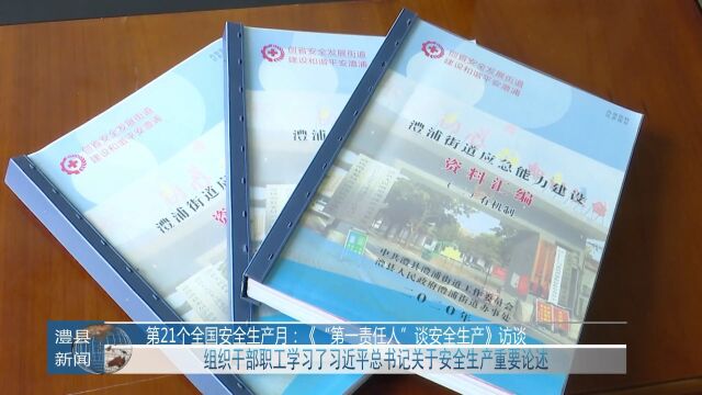 “第一责任人”谈安全生产|澧浦街道安监站站长陈章香