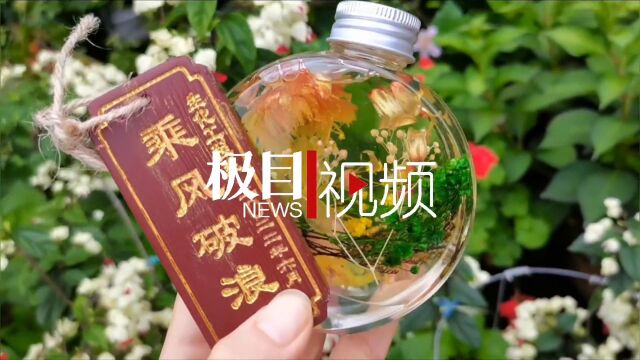 【视频】“永生花”美丽绽放,这份毕业礼物上心了