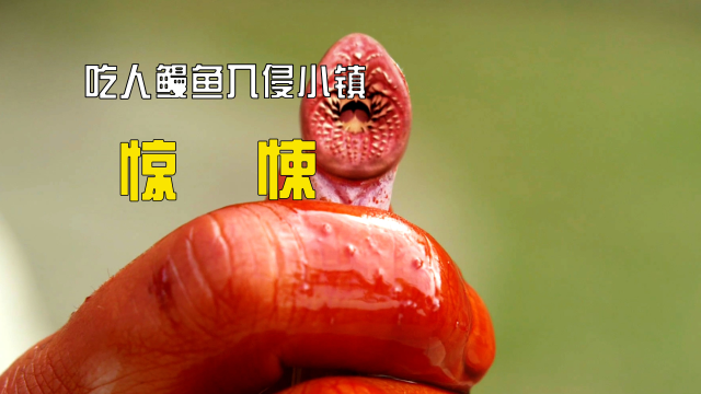 变异后的鳗鱼有多可怕,不但满嘴獠牙而且吃人从不吐骨头
