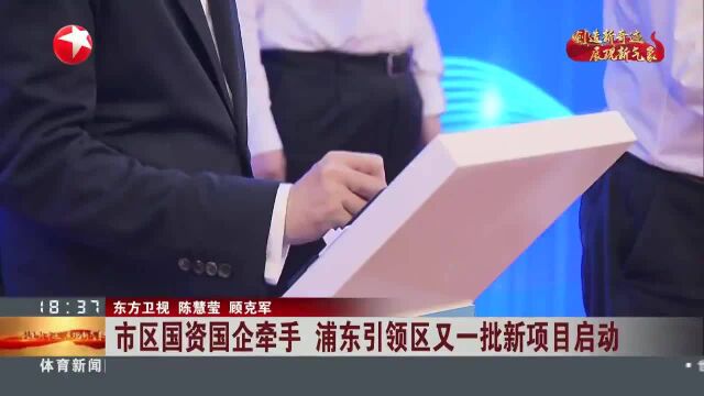 市区国资国企牵手 浦东引领区又一批新项目启动