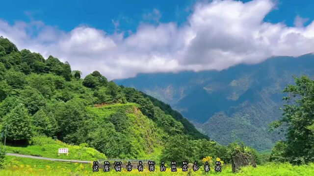 黑竹沟一日游,你要的风景都在路上