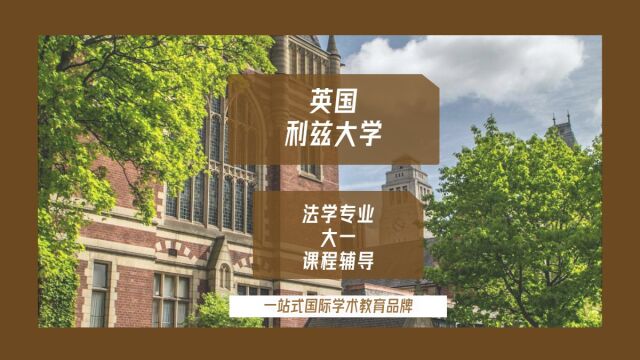 英国利兹大学法学大一课程辅导|dissertation|essay|presentation