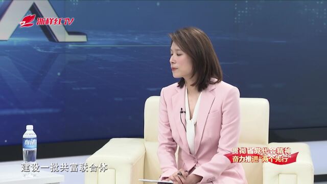 浙江省打造100个共富村【试点】名单出炉,快来看看你们家乡是否在列?省财政厅新闻发言人今晚解答