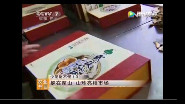 怎么做到任何时候都可以吃到的野生菌?看《每日农经》给你答案