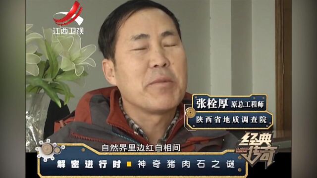 猪肉石:石头造型像东坡肉,竟能卖到上百万