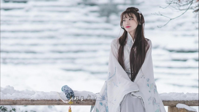 mv--《那风 那雪 那回忆》--云菲菲