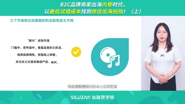 B2C品牌商家出海内卷时代,以最低试错成本找到绝佳出海拍挡!(上)