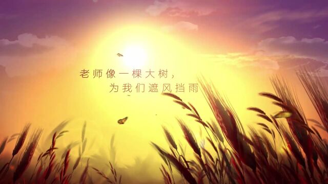 教师节文字片头 副本 (CC (12)).aep