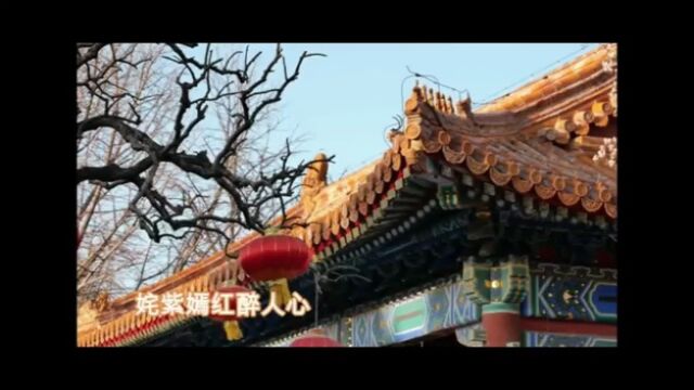 陈湘经典唱腔唱段传唱/《白蛇传》选段端阳惊变/苏小丽演唱