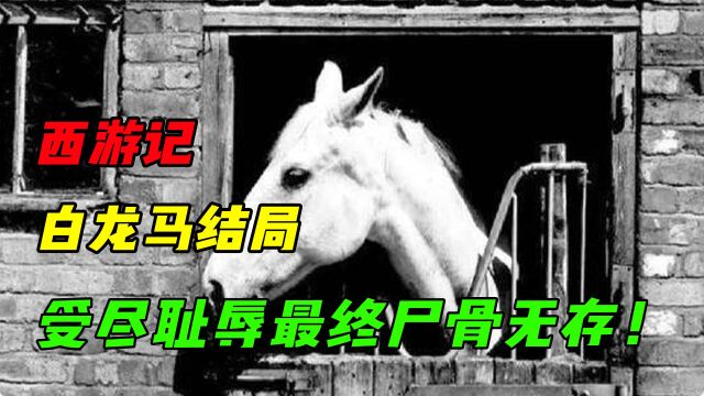 西游记中的白龙马,本应该功成名就,结果落了个尸骨无存!