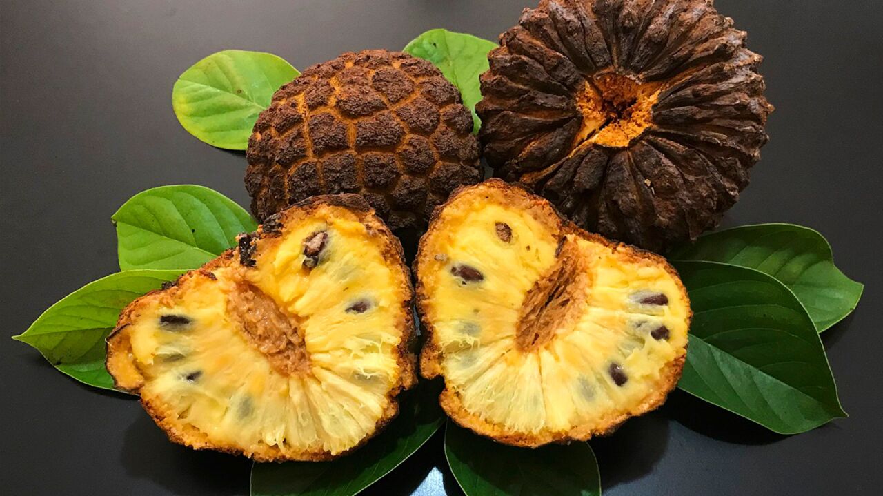 你肯定没吃过的奇怪水果!巴西最好吃的黄肉番荔枝marolo