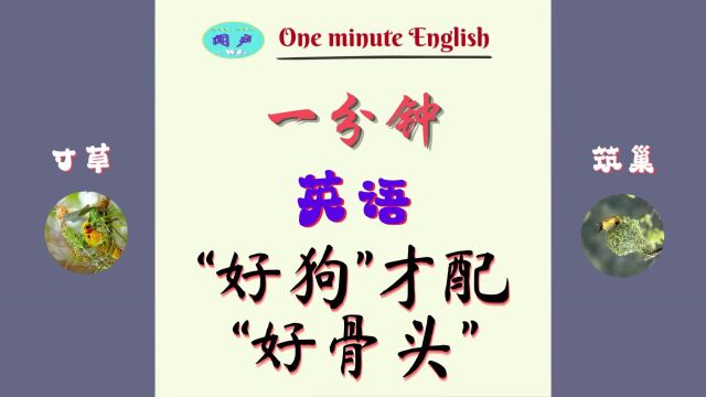 一分钟英语D48 你知道“老高”频道吗? | 英语学习 | Learn English | 英语口语 | 英语语法