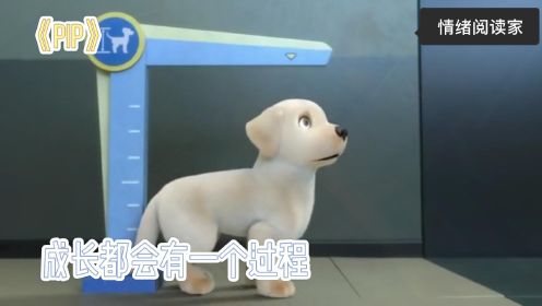 暖心动画：暖心导盲犬短片《Pip》，成长都会有一个过程