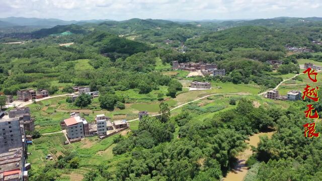 广西灵山太平仇氏仇英作品,仇效忠祖地,两边有华表柱