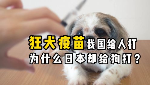 同样打“狂犬疫苗”，为什么日本给狗打，而中国却要给人打？