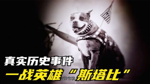流浪狗混入军队，经历17次战役，成为人民英雄，被授予中士军衔《中》