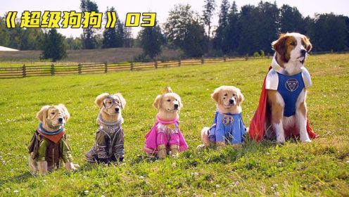 超级狗狗：五只狗狗意外获得超能力，惩恶扬善开启了开挂人生《3》